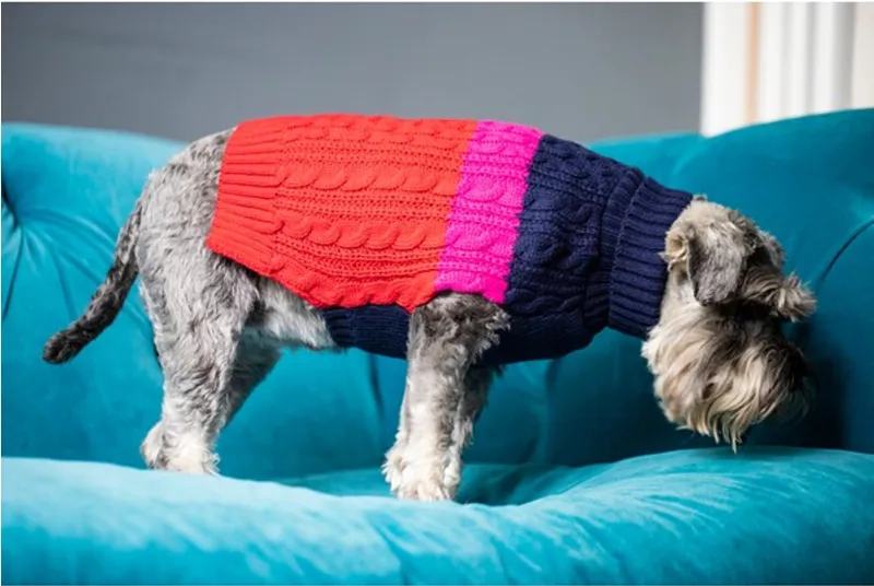Sotnos Dog Jumper Red and Pink-1